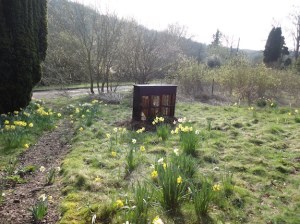 open-garden-wind-piano